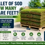 1 pallet of sod is how many square feet