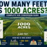 How Many Feet is 1000 acres