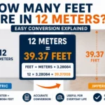 how many feet are in 12 meters