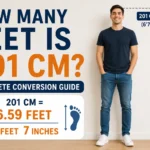 how many feet is 201 cm