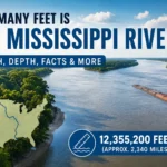 how many feet is the mississippi river