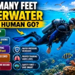 how many feet underwater can a human go