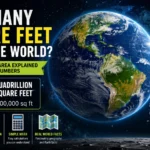 how many square feet are in the world